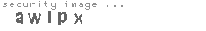 security image