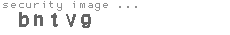 security image