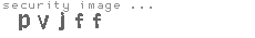 security image