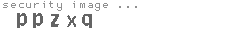 security image