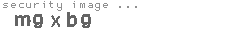 security image