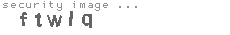 security image