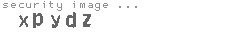security image