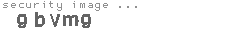 security image