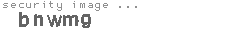 security image