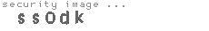 security image