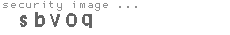 security image