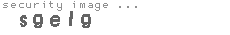 security image