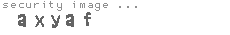 security image
