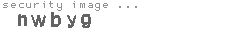 security image