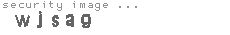 security image