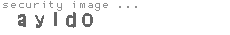 security image