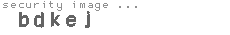 security image