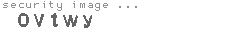 security image