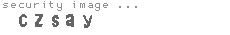 security image
