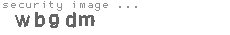 security image