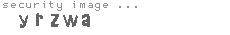 security image