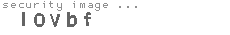security image
