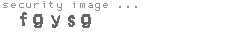 security image
