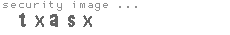 security image
