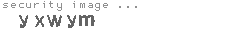 security image