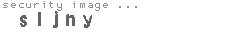 security image