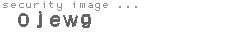 security image