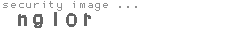 security image