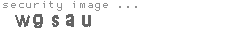 security image