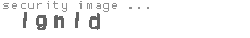 security image