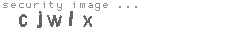 security image
