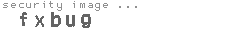 security image