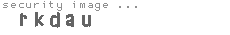 security image