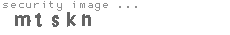 security image