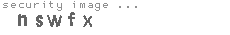 security image