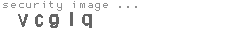 security image