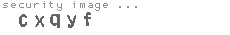 security image