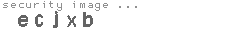 security image