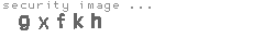 security image