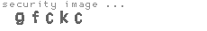 security image