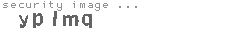 security image
