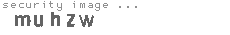 security image