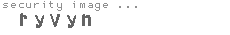 security image