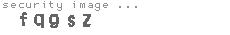 security image