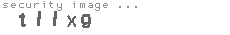 security image