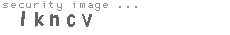 security image