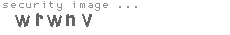 security image