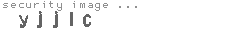 security image