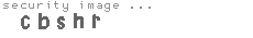 security image