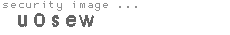 security image